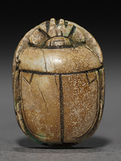 Image of a scarab - a sacred beetle in ancient Egypt